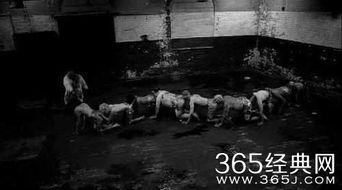 人体蜈蚣3 在线观看,惊悚悬疑，生死较量  第1张